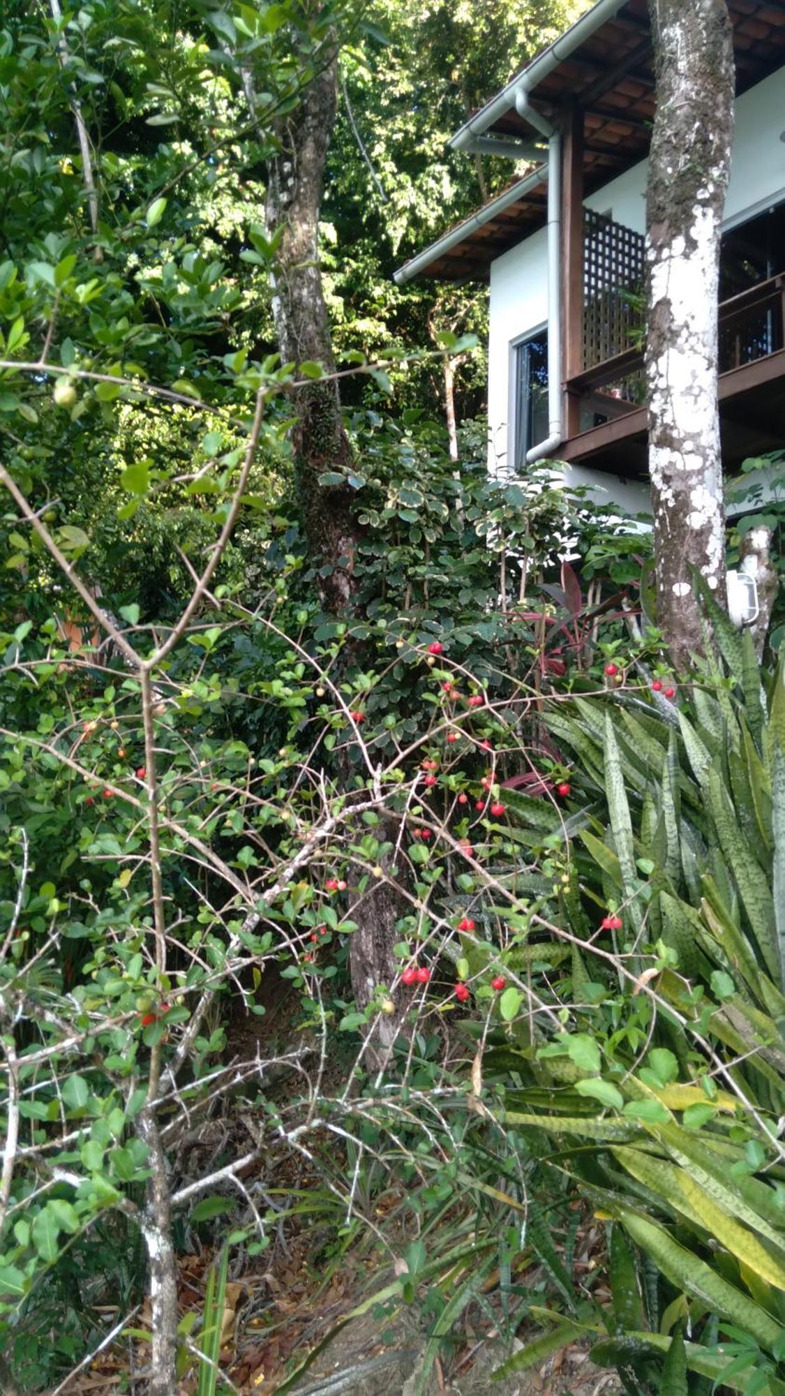 Casa Shuhari Villa Morro de São Paulo Eksteriør bilde