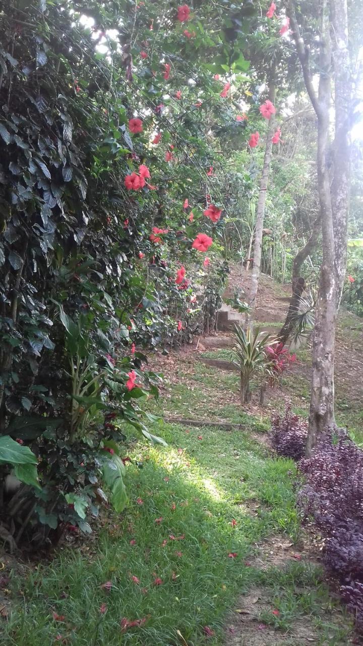 Casa Shuhari Villa Morro de São Paulo Eksteriør bilde